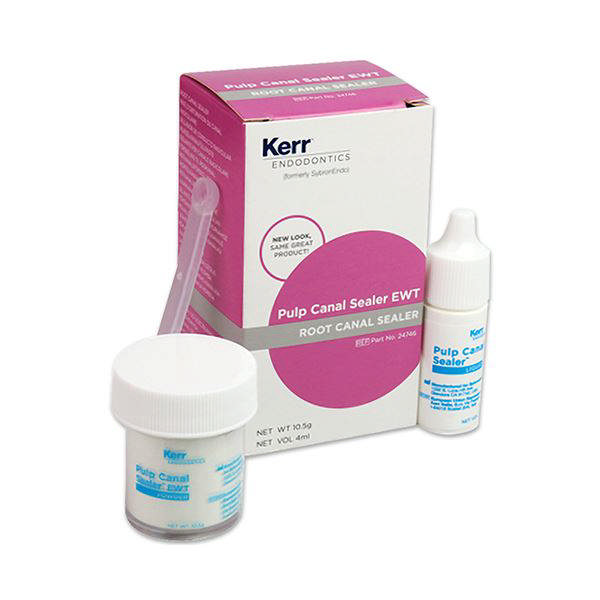 Pulp Canal Sealer 24875