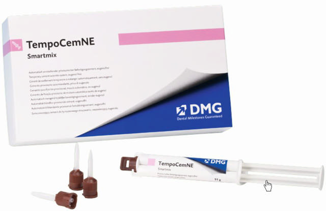TempoCem NE Smartmix  212104