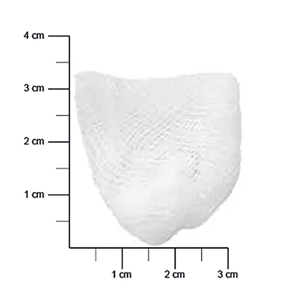 M+W Select gazetamponer rund str 3/valnød